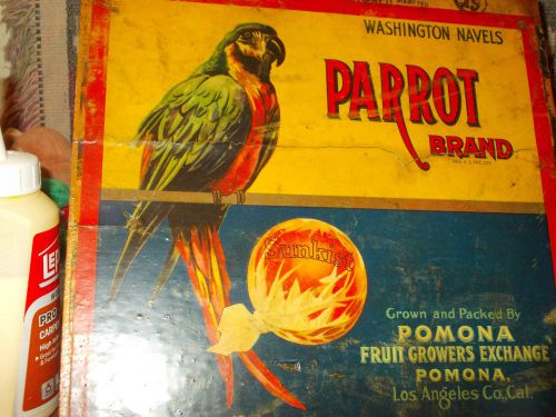 Orange crate advertising 1930&#039;s california orange growers  parrot  brand for sale