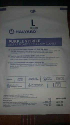 nitrile sterile powder-free exam gloves. Large. 16 pairs for $7.99.