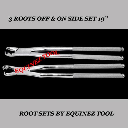 19&#034; 3 Roots SET Hand Extraction Forcep, Hand Crafted,S,steel, Equine with pouch