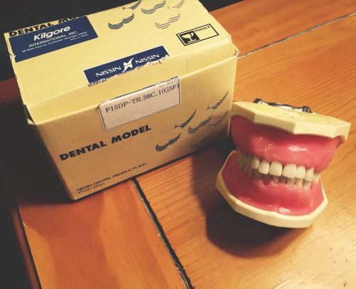 Nissin Dental Periodontal Dentoform/Typodont