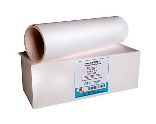 Whatman 10402405 protran ba83 nitrocellulose blotting membrane, sheet, 0.2µm for sale