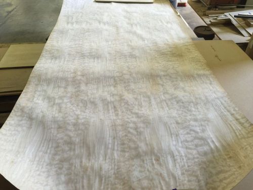 Wood Veneer Quilted Maple 48x96 1 Piece 10Mil Paper Backed &#034;EXOTIC&#034; 0917 1 Lok