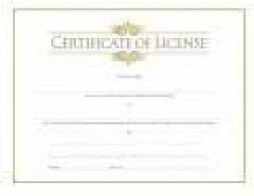 Broadman Holman Certificate-License-Minister w/Gold Embossing (Pk/6)