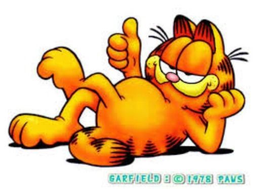 30 Personalized Return Address Labels GARFIELD!