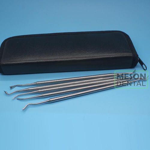 5Pcs/Pack Dental Stainless Steel Double Ended Cement pluggers Curettes Dus