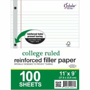iScholar Reinforced Filler College 83101