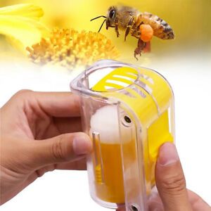 Bee Queen Marker Bottle Bee Mark Cage One Handed Marking Catcher With PlungCAF2