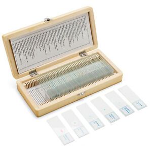 US Swift 50 Prepared Microscope Slides Glass with Wooden Box Animal Plant insect