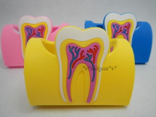 3pcs Rubber Dental Clinic Tooth Business Name Card Holder Case Display Stand