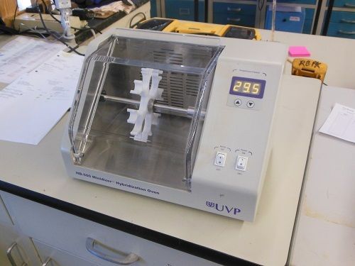 UVP HB-500 minidizer hybridization oven. Hybridization