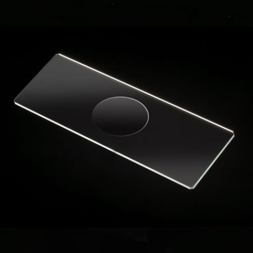Microscope slides with single cavity, 72/box for sale