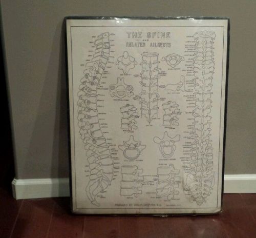 Vintage Spine and Related Ailments Chart poster board