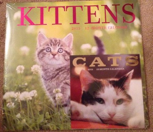 2015 Wall Calendar 12 Month Set of Kittens &amp; Cats Organizer Planner