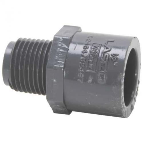PVC Sch 80 Male Adapter 1/2&#034; 836005 Lasco Fittings Steel Pipe 836005