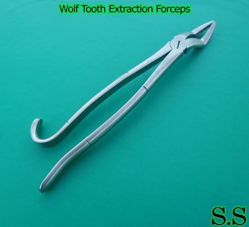 WOLF TOOTH EXTRACTOR FORCEPS 11&#034; DENTAL EQUINE INSTRUMENTS