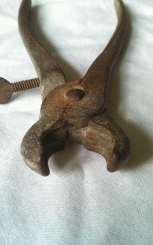 Vintage hog snout ring pliers