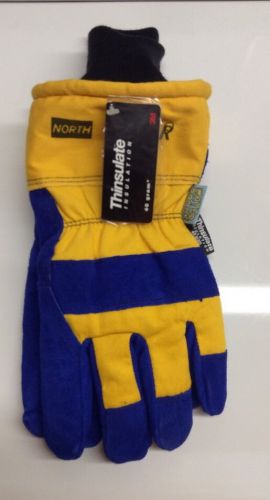 North Polar Thinsulated Gloves