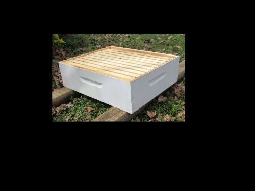 Bee Hive - Shallow Super - Complete with Frames &amp; Foundation - Assembled/Painted