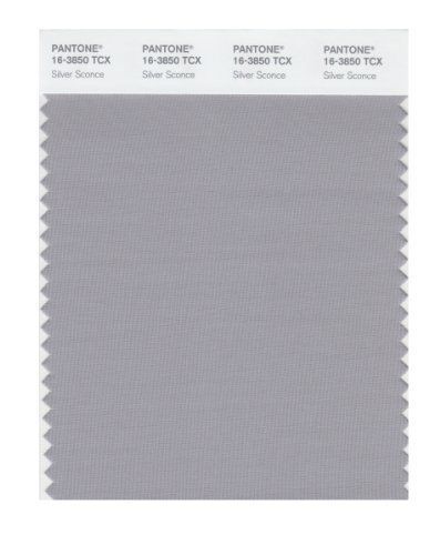 Pantone 16-3850 TCX Smart Color Swatch Card, Silver Sconce