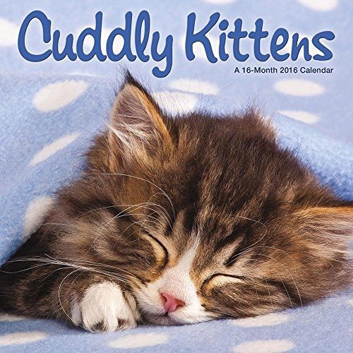 Calendar Company 2016 Monthly Mini Wall Calendar - Cuddly Kittens