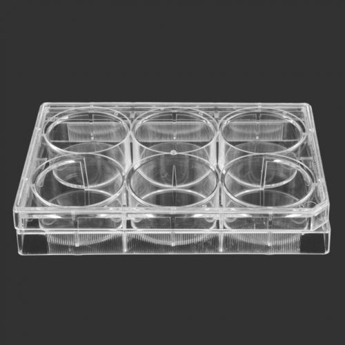 6 Well Tissue Culture Plates, sterile, case of 50