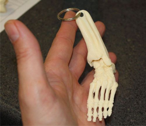 ANATOMICAL FOOT KEY TAG MODEL - KEY RING - KEY CHAIN - PODIATRIST