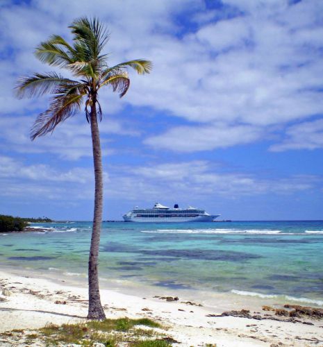Beach Cruise Ships Palm Tree 30 Glossy Personalized Address Labels 1&#034; x 2 5/8&#034;