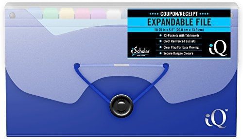 iScholar Expanding 13 Pocket Receipt Folder, Color May Vary (30611)