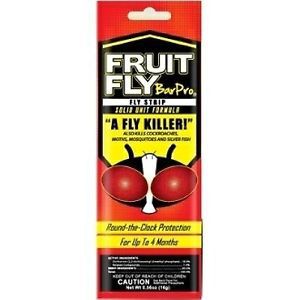 Fruit fly bar pro,   fruit fly strips, fruit fly for sale