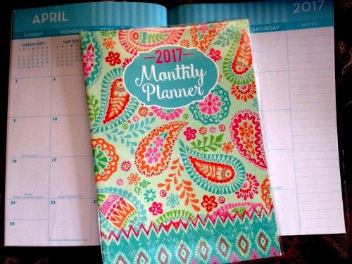 2017 Monthly Calendar Pretty Paisley