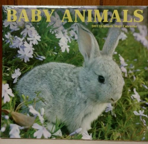 BABY ANIMALS 2017 CALENDAR - 16 MONTH WALL CALENDAR