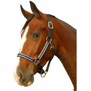 Intrepid 126101 Breakaway Halter Leather Crown Padded for Horse, Black &amp; Sil