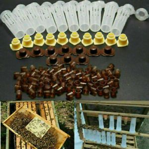 Bee Queen Rearing Cupkit Complete Box System Beekeeping S2A7 Cage Kit/Set T3X9
