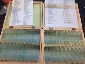AmScope 200 Piece Set of Prepared Microscope Glass Slides with Box PS200