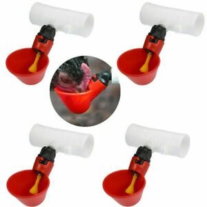 4pcs Water feeders Chicken Fountains Built-in plunger Supplies Accessory