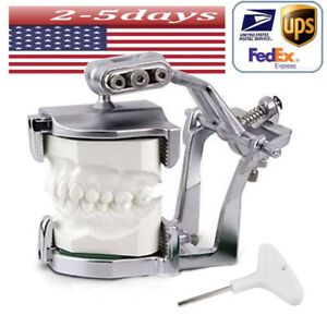 USA Dental Lab Equipment Adjustable Magnetic Articulator mount Full Teeth model