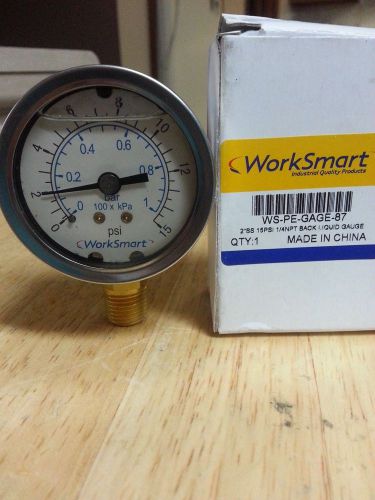 WORKSMART WS-PE-GAGE-87 2&#034;SS 15PIS 1/4NPT LIQUID GAGE