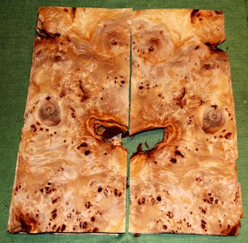 About 16 leafs of mappa burl @ 18.25 x 7.5 wood veneer  #v1289 for sale