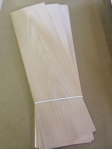 Wood veneer beech 10x37  24pcs total raw veneer &#034;exotic&#034; bec4 8-1 for sale
