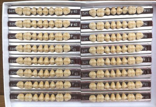 Dentsply New Hue Dentist Dental Lab Porcelain Denture Teeth -33S  U  65