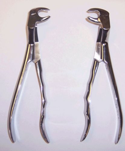 Extracting Forceps 22-1/2L &amp; 22-1/2R Dental Instruments