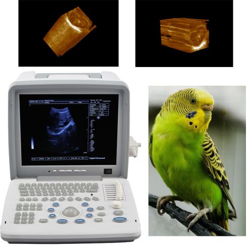 Ce veterinary portable ultrasound machine scanner + linear probe for animal + 3d for sale
