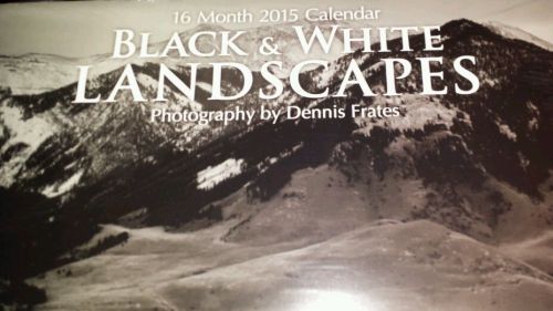 New cheap 2015 16 month wall calendar/calender b&amp;w photography landscape gift