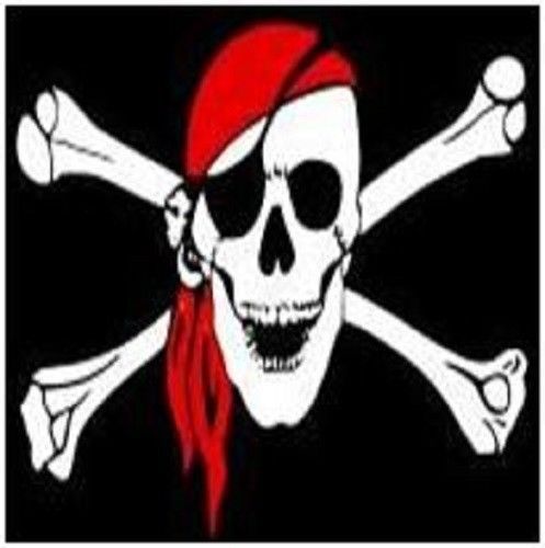 30 Custom Pirate Flag Personalized Address Labels