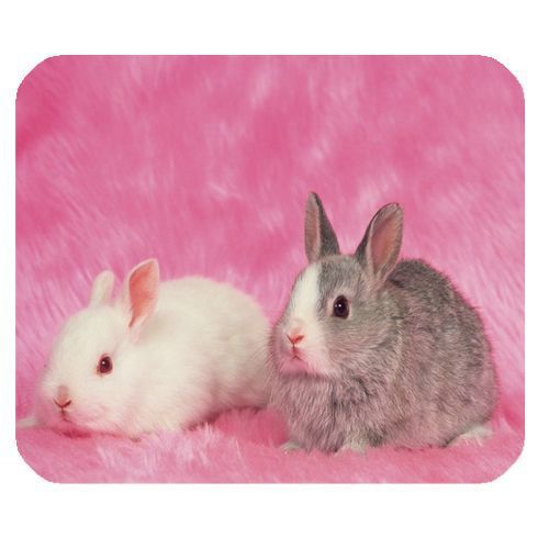 Rabbit Mouse Pad / Mice Mat 005