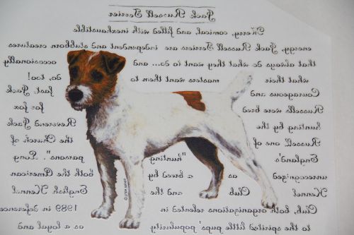Package of 100 Full Color Heat Transfers Jack Russell Terrier New in Package