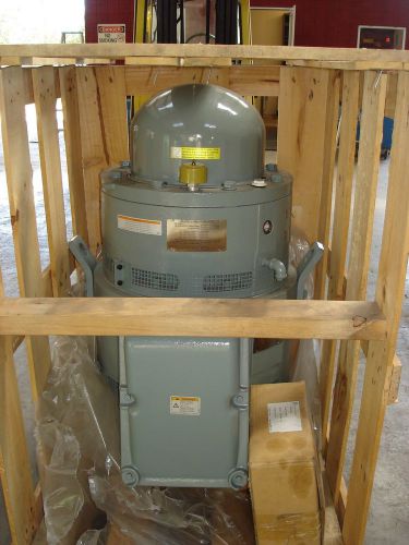 100 hp vertical hollow shaft motor for sale