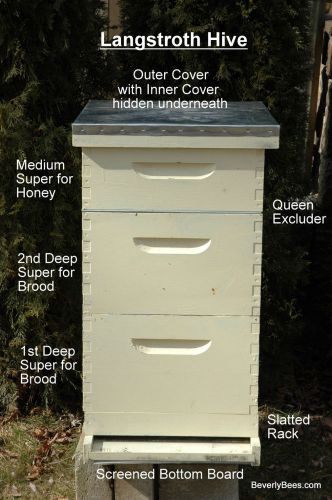 LEARN BEEKEEPING &amp; BUILD YOUR OWN BEEHIVE BEE HIVE PLAN PLANS MANUAL LESSON
