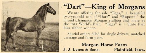1919 ad grand champion worlds fair morgan horse farm - original advertising cl4 for sale