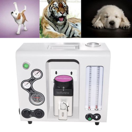 Animals vet anesthesia machine for isoflurane veterinary for sale